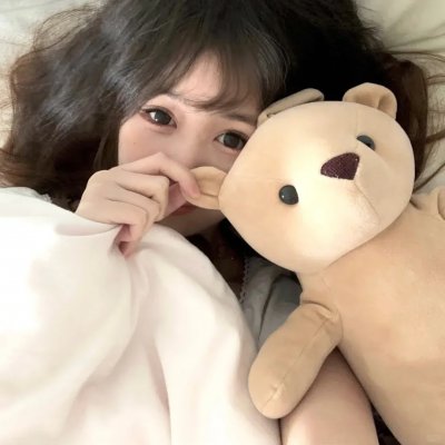 毛毯猫