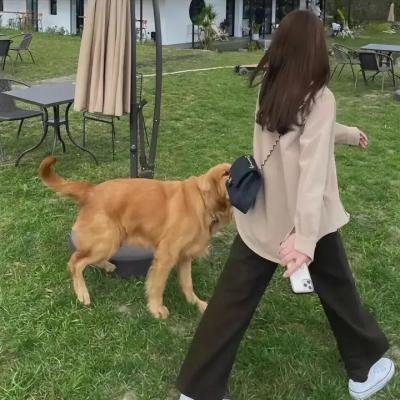 青色山脉